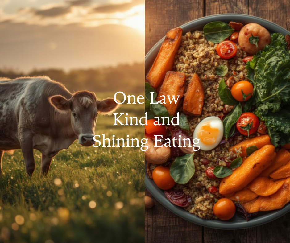 If I Could Change One Law: Banning Animal Cruelty in Slaughter&nbsp;Worldwide